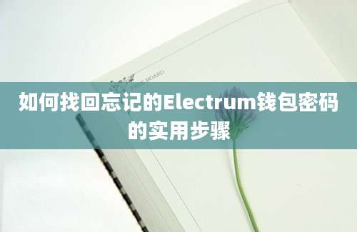 如何找回忘记的Electrum钱包密码的实用步骤