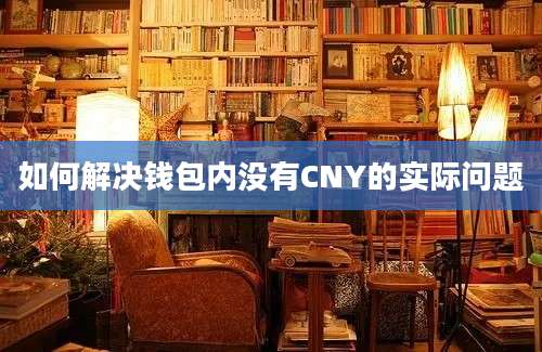 如何解决钱包内没有CNY的实际问题