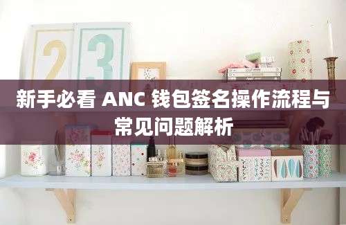 新手必看 ANC 钱包签名操作流程与常见问题解析