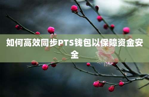 如何高效同步PTS钱包以保障资金安全