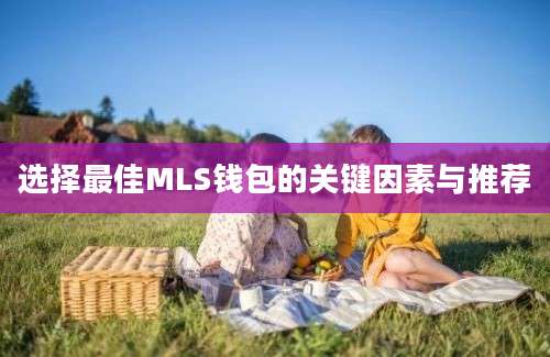 选择最佳MLS钱包的关键因素与推荐