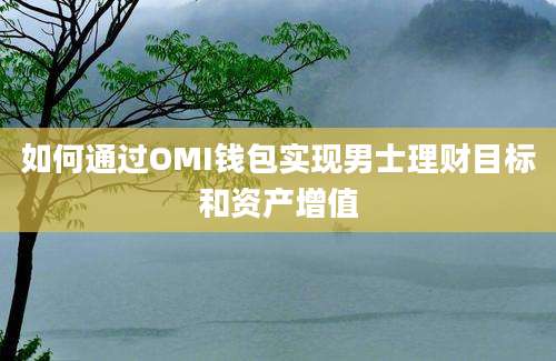 如何通过OMI钱包实现男士理财目标和资产增值