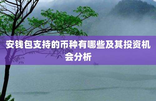 安钱包支持的币种有哪些及其投资机会分析