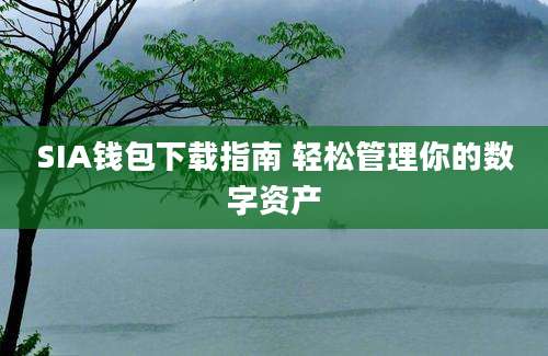 SIA钱包下载指南 轻松管理你的数字资产