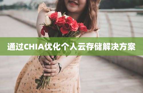 通过CHIA优化个人云存储解决方案