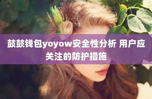 鼓鼓钱包yoyow安全性分析 用户应关注的防护措施