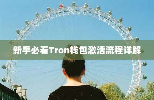 新手必看Tron钱包激活流程详解