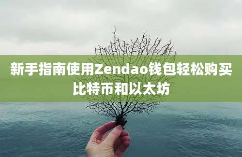 新手指南使用Zendao钱包轻松购买比特币和以太坊