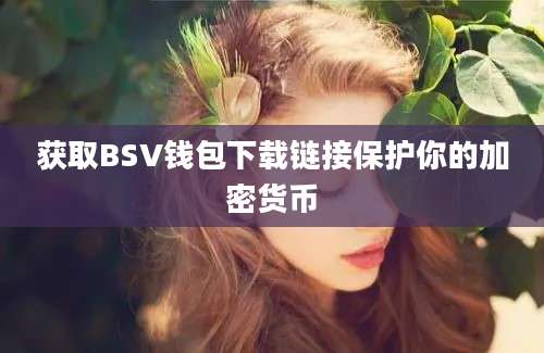 获取BSV钱包下载链接保护你的加密货币