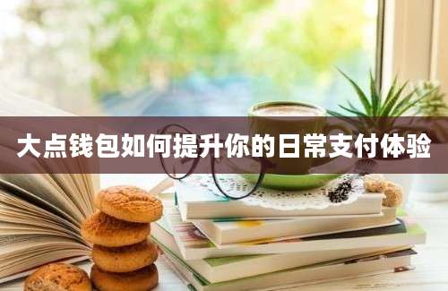 大点钱包如何提升你的日常支付体验