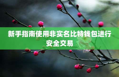 新手指南使用非实名比特钱包进行安全交易