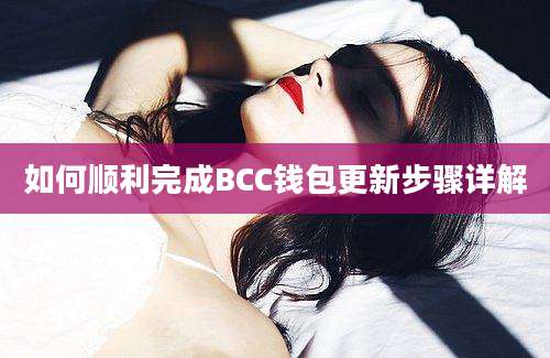 如何顺利完成BCC钱包更新步骤详解