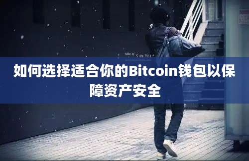 如何选择适合你的Bitcoin钱包以保障资产安全