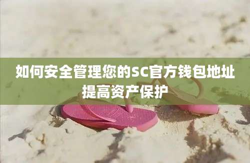 如何安全管理您的SC官方钱包地址提高资产保护