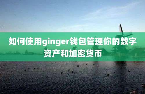 如何使用ginger钱包管理你的数字资产和加密货币