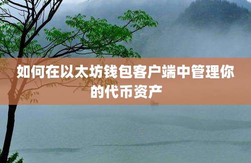 如何在以太坊钱包客户端中管理你的代币资产