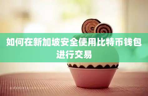 如何在新加坡安全使用比特币钱包进行交易