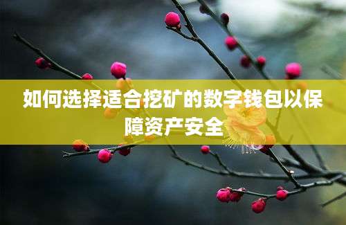 如何选择适合挖矿的数字钱包以保障资产安全