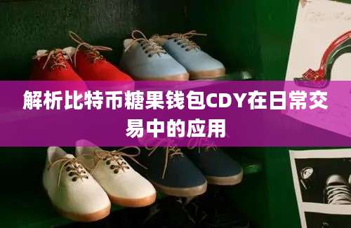 解析比特币糖果钱包CDY在日常交易中的应用