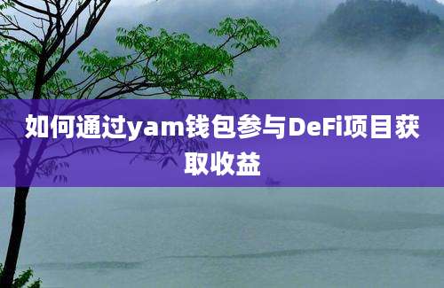 如何通过yam钱包参与DeFi项目获取收益