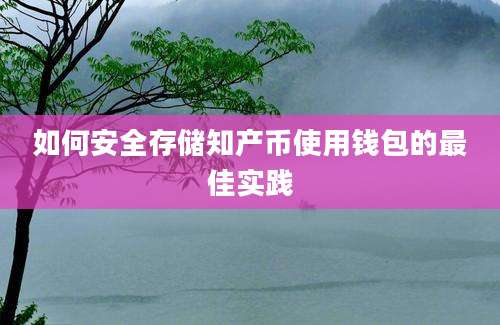 如何安全存储知产币使用钱包的最佳实践