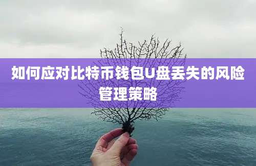 如何应对比特币钱包U盘丢失的风险管理策略