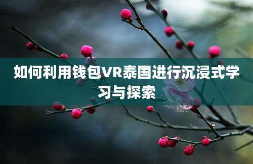 如何利用钱包VR泰国进行沉浸式学习与探索