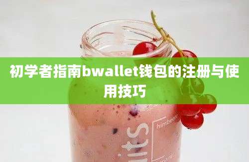 初学者指南bwallet钱包的注册与使用技巧