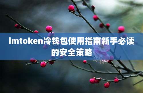 imtoken冷钱包使用指南新手必读的安全策略