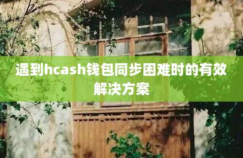 遇到hcash钱包同步困难时的有效解决方案