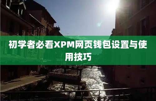 初学者必看XPM网页钱包设置与使用技巧