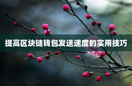 提高区块链钱包发送速度的实用技巧