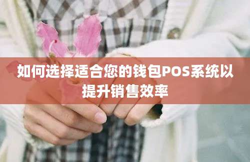 如何选择适合您的钱包POS系统以提升销售效率