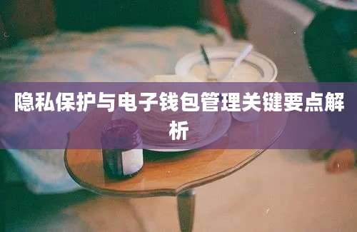 隐私保护与电子钱包管理关键要点解析