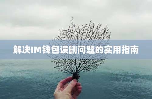 解决IM钱包误删问题的实用指南