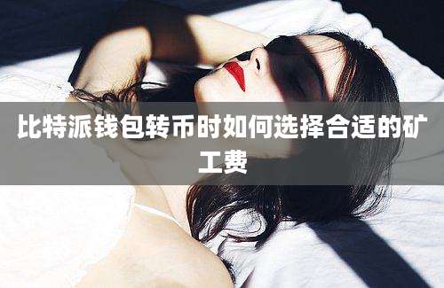 比特派钱包转币时如何选择合适的矿工费