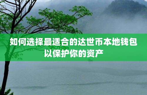 如何选择最适合的达世币本地钱包以保护你的资产