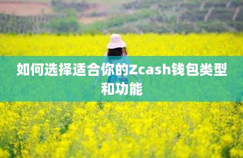 如何选择适合你的Zcash钱包类型和功能