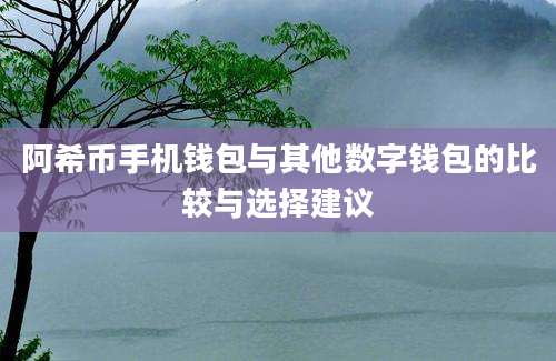 阿希币手机钱包与其他数字钱包的比较与选择建议