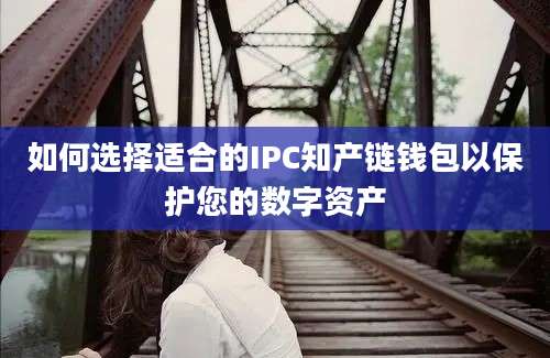 如何选择适合的IPC知产链钱包以保护您的数字资产