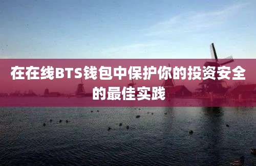 在在线BTS钱包中保护你的投资安全的最佳实践