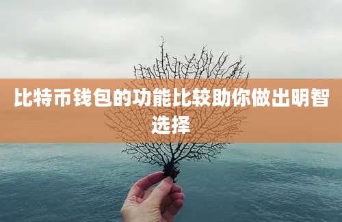 比特币钱包的功能比较助你做出明智选择