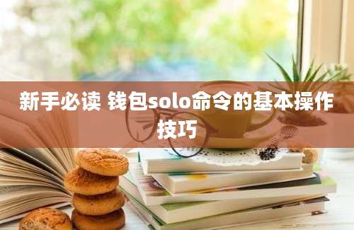 新手必读 钱包solo命令的基本操作技巧