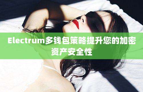 Electrum多钱包策略提升您的加密资产安全性