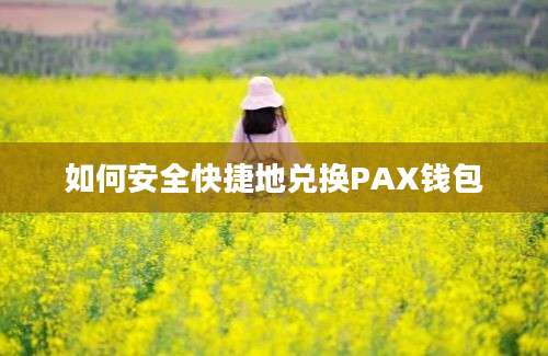 如何安全快捷地兑换PAX钱包