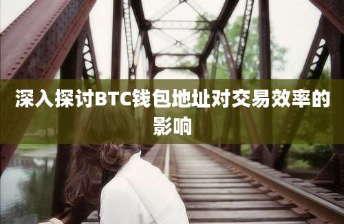 深入探讨BTC钱包地址对交易效率的影响