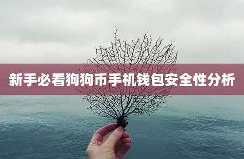 新手必看狗狗币手机钱包安全性分析