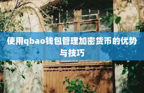 使用qbao钱包管理加密货币的优势与技巧