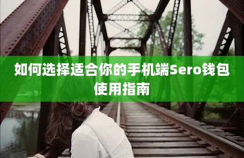 如何选择适合你的手机端Sero钱包使用指南