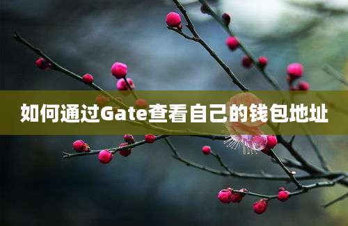 如何通过Gate查看自己的钱包地址